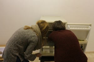 IMG 4038